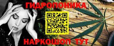 PSILOCYBIN Ирбит
