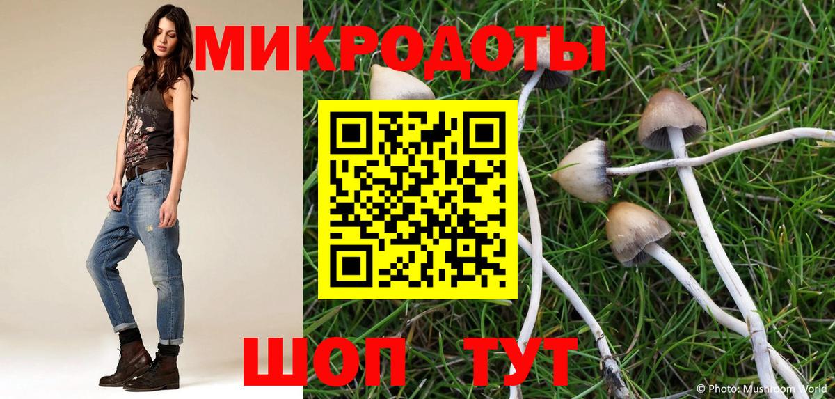 Майский  Псилоцибиновые грибы ЛСД  наркота  Вход с VPN 